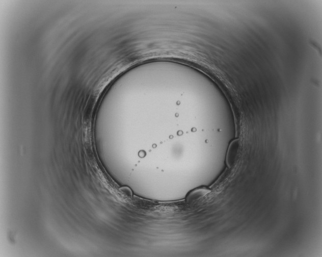 X0000100411513200806201747