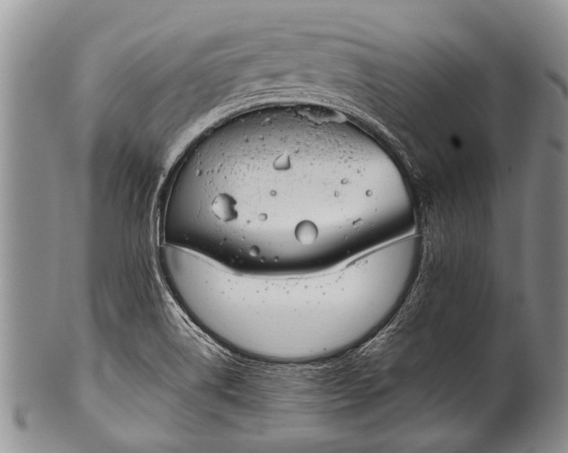 X0000100411514200806201747