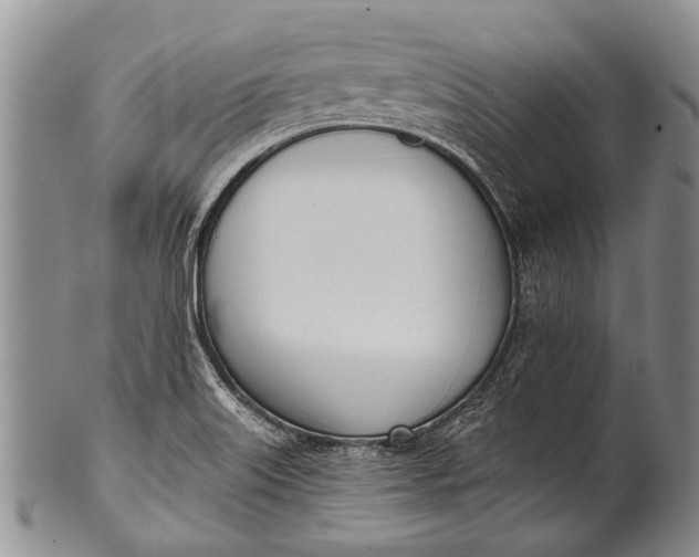 X0000100411515200806201747