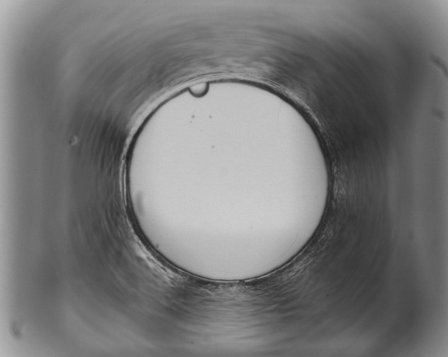 X0000100411516200806201747