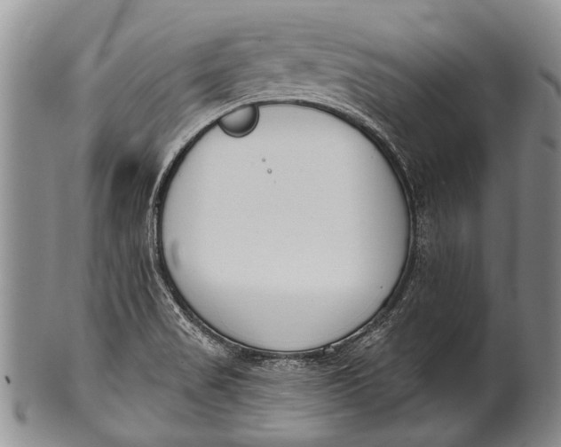 X0000100411517200806201747