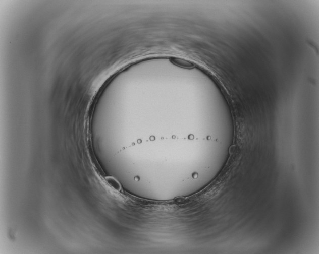 X0000100411519200806201747