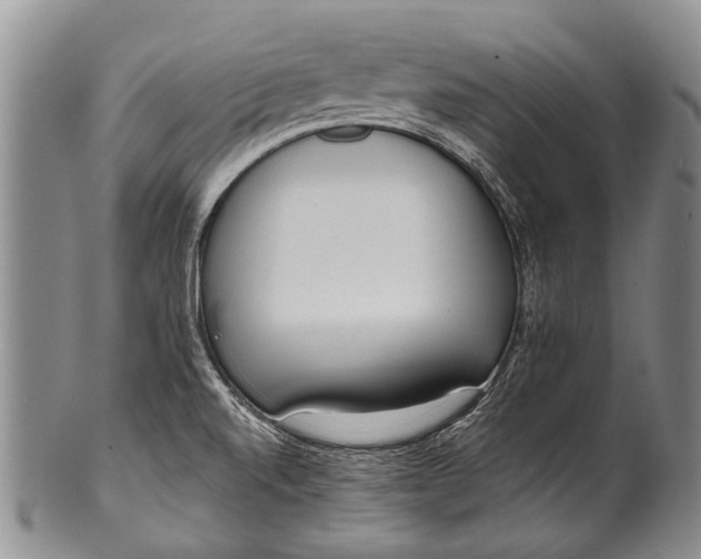 X0000100411520200806201747