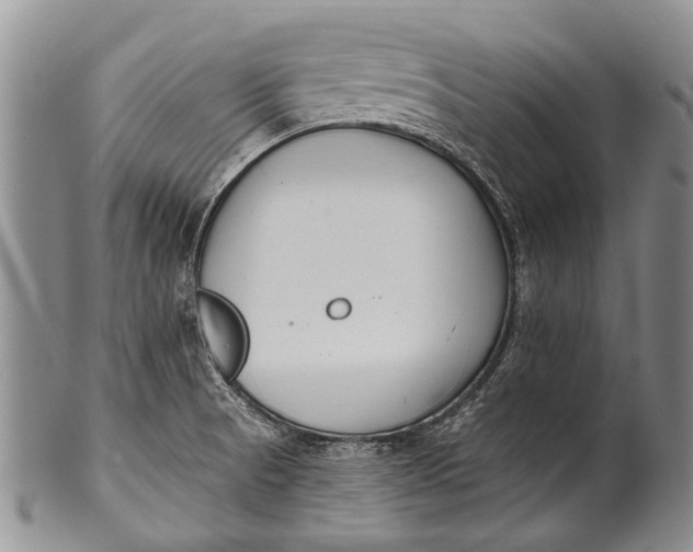 X0000100411521200806201747