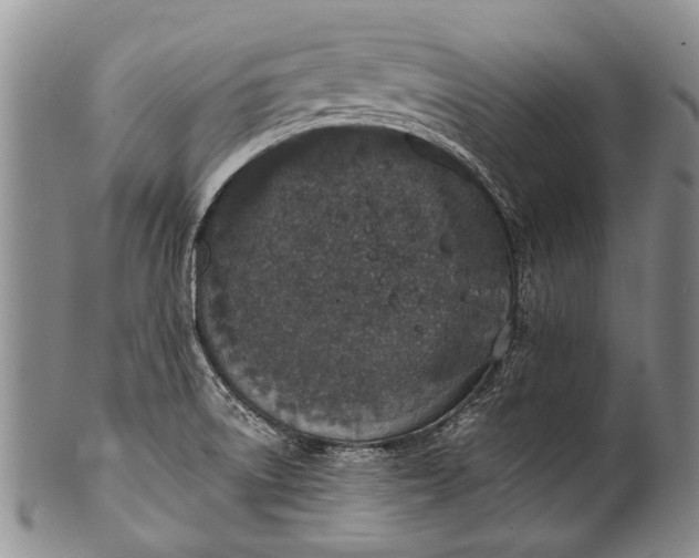 X0000100411522200806201747