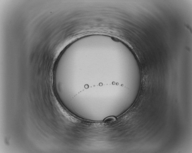 X0000100411523200806201747