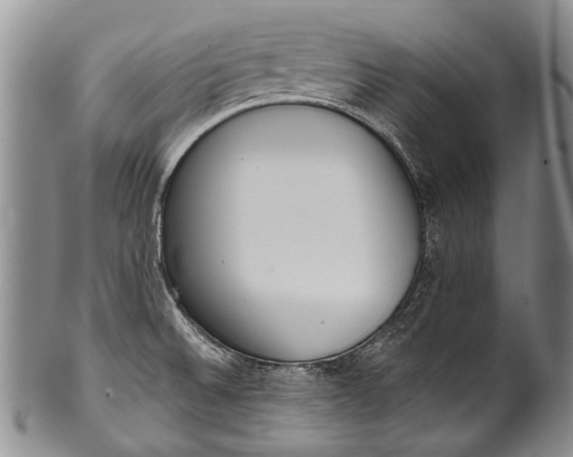 X0000100411524200806201747