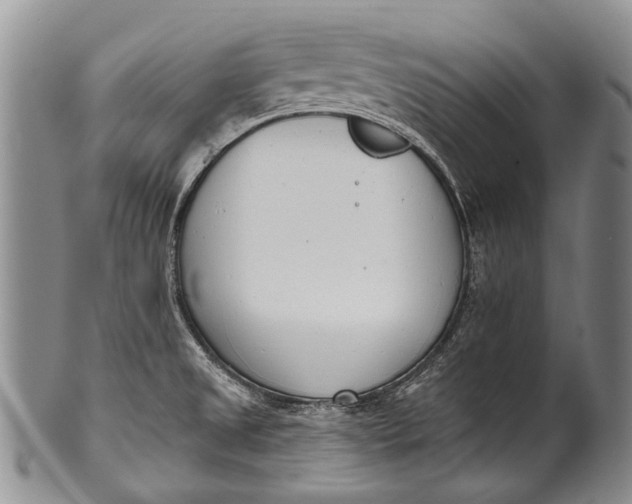 X0000100411525200806201747