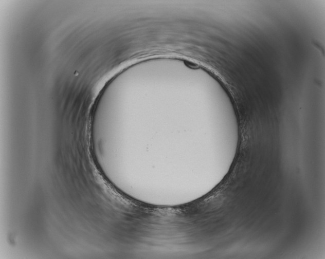 X0000100411526200806201747