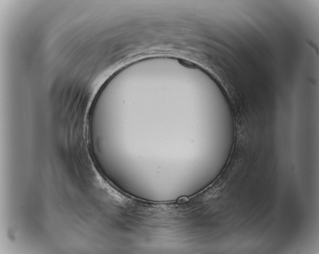 X0000100411527200806201747