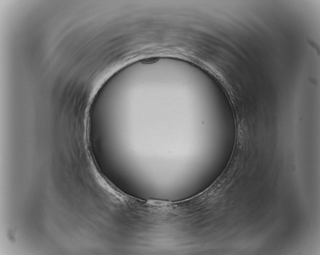 X0000100411528200806201747