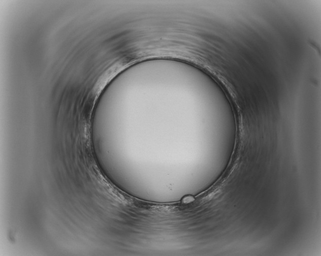 X0000100411529200806201747