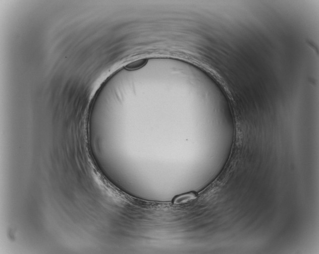 X0000100411530200806201747