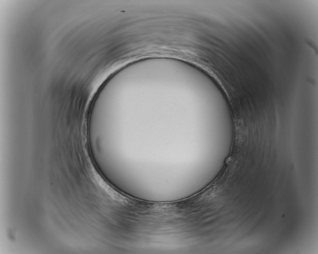 X0000100411531200806201747