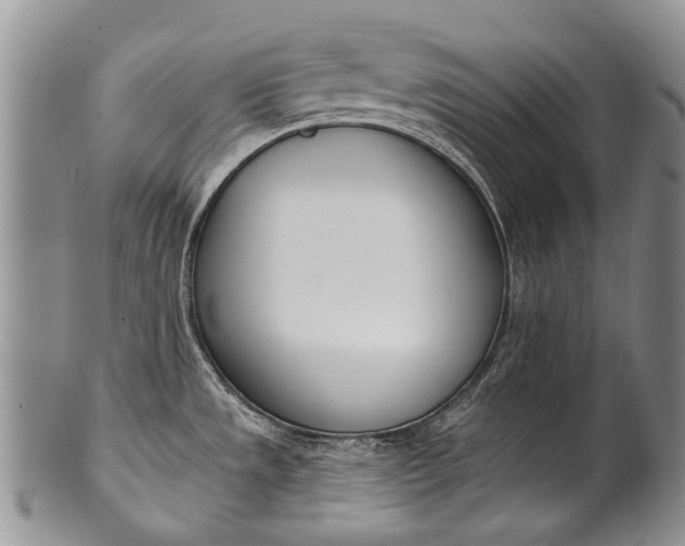 X0000100411533200806201747