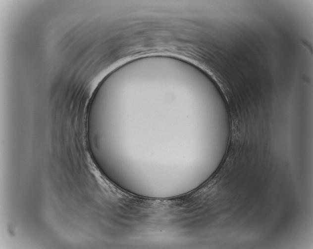 X0000100411534200806201747