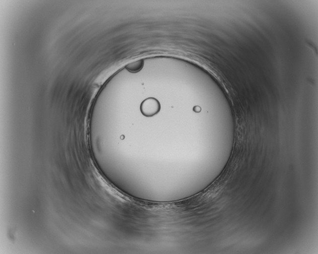 X0000100411535200806201747