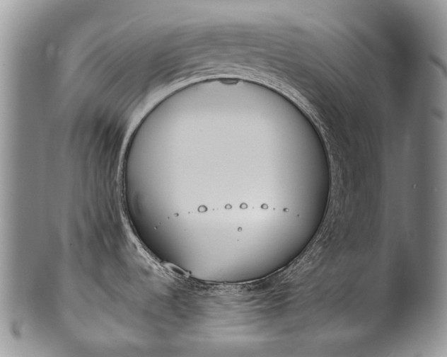 X0000100411536200806201747