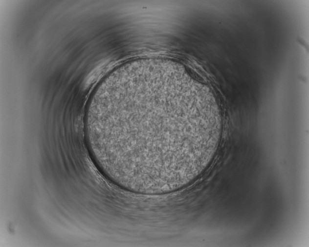 X0000100410002200806271454