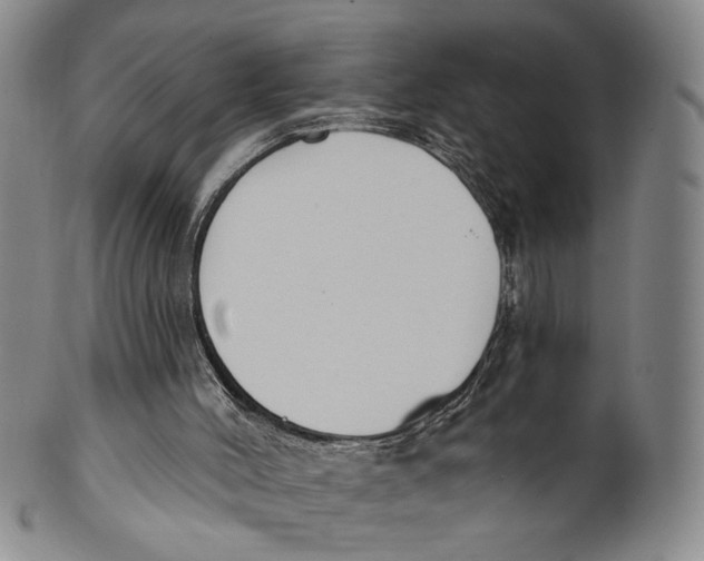 X0000100410004200806271454