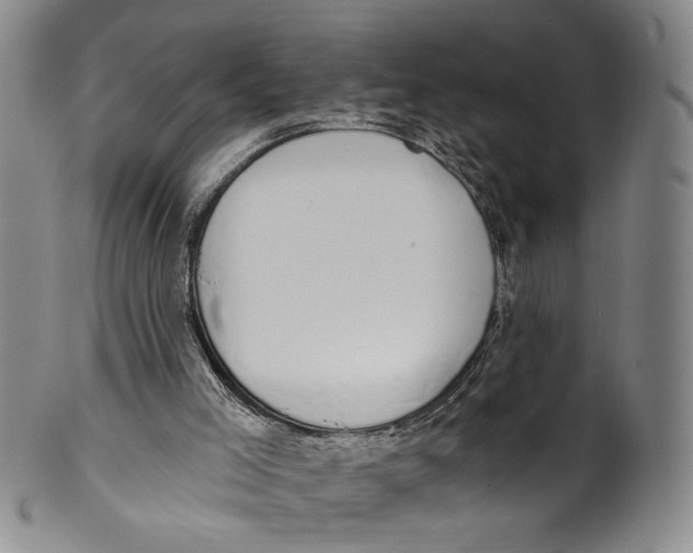 X0000100410005200806271454