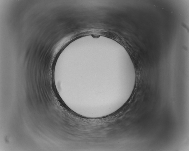 X0000100410006200806271454