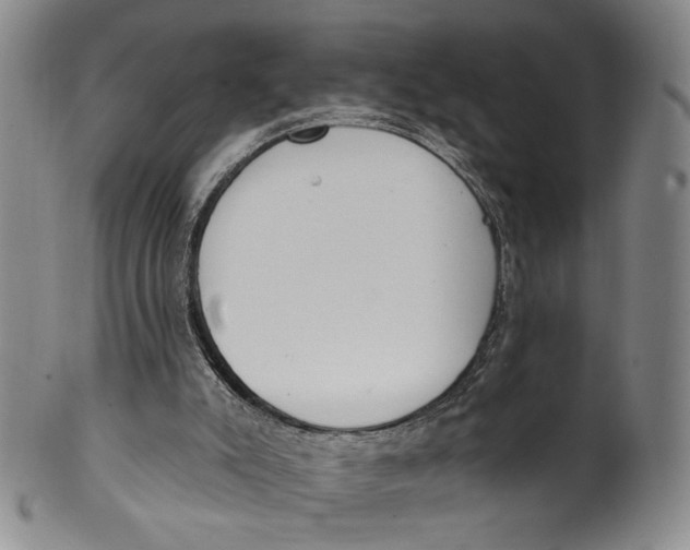 X0000100410007200806271454