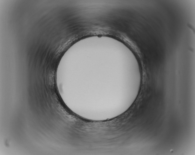 X0000100410009200806271454