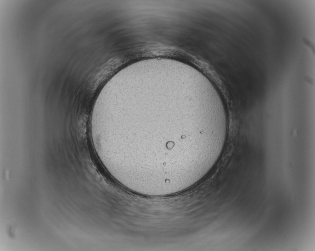 X0000100410010200806271454