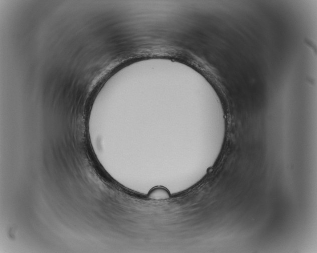 X0000100410012200806271454