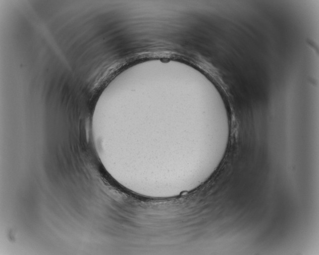 X0000100410013200806271454