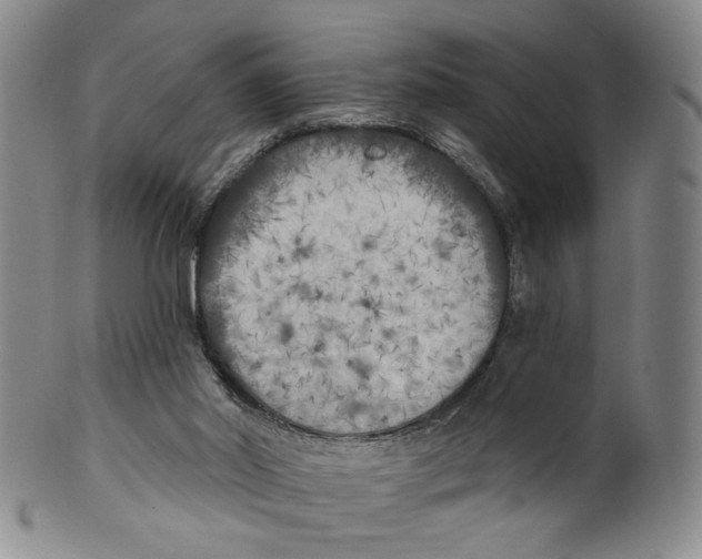 X0000100410014200806271454