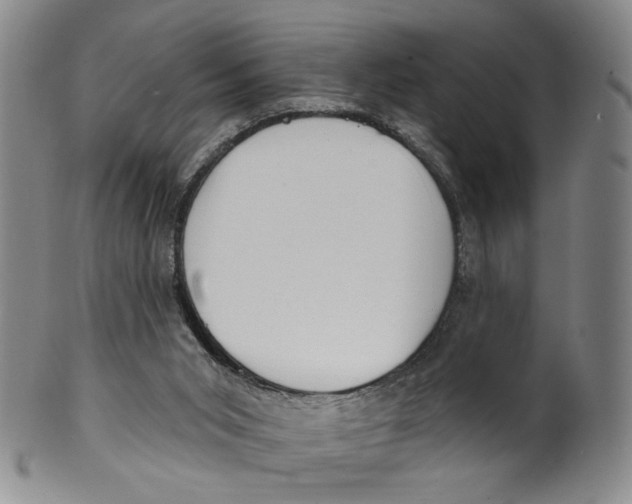 X0000100410015200806271454