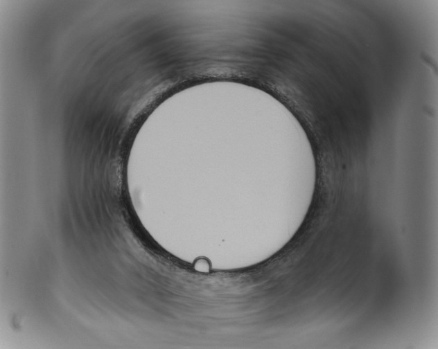 X0000100410016200806271454