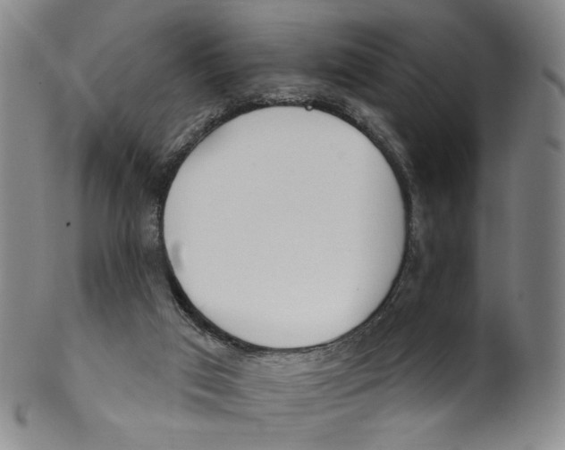 X0000100410017200806271454