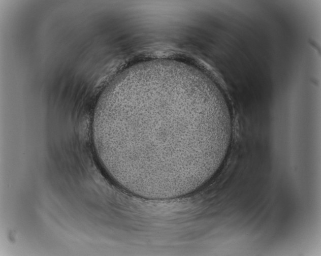 X0000100410018200806271454