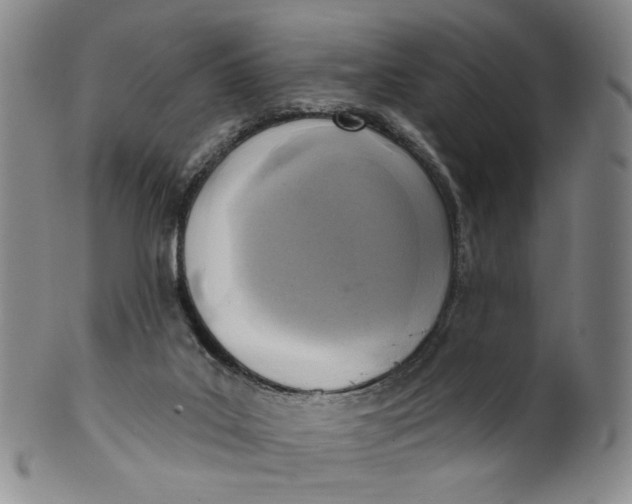 X0000100410019200806271454