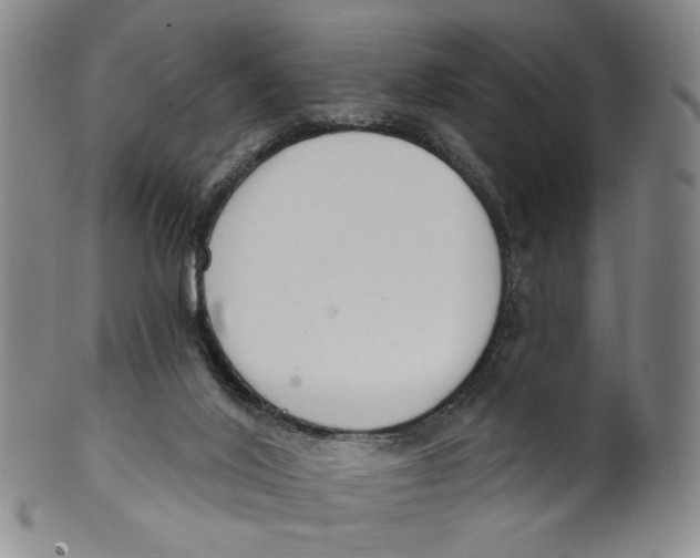 X0000100410020200806271454