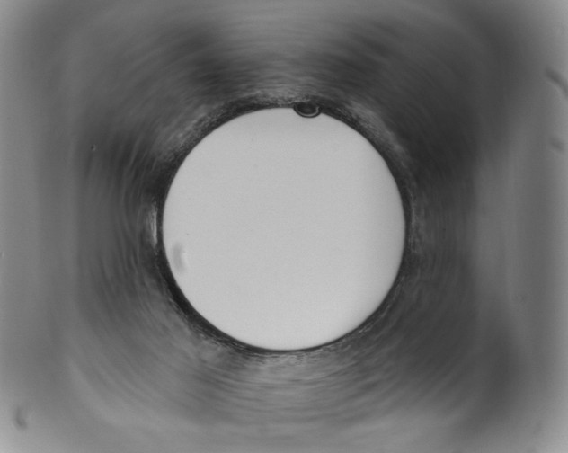 X0000100410021200806271454