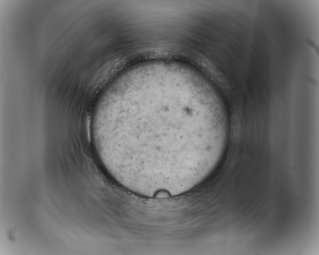 X0000100410022200806271454