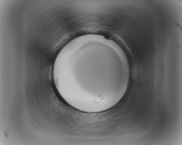 X0000100410023200806271454