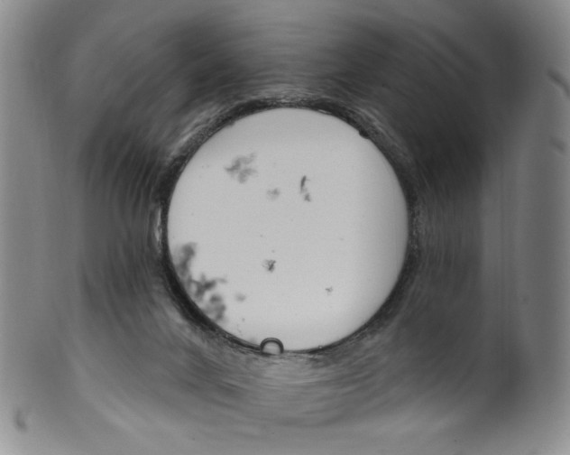 X0000100410024200806271454