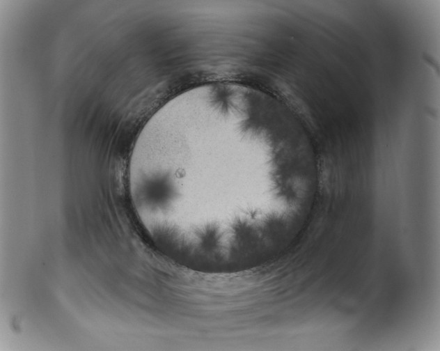 X0000100410026200806271454