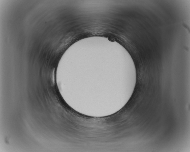 X0000100410028200806271454