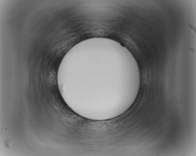 X0000100410029200806271454