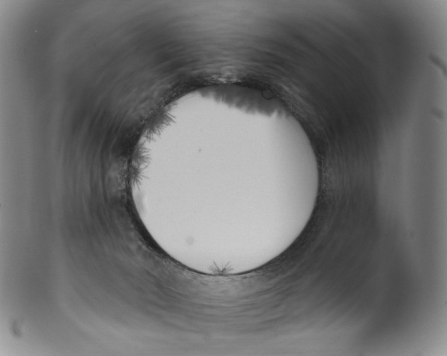 X0000100410030200806271454