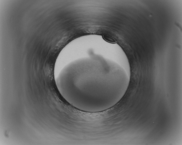 X0000100410031200806271454