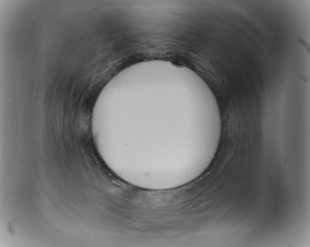 X0000100410033200806271454