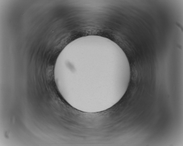 X0000100410034200806271454