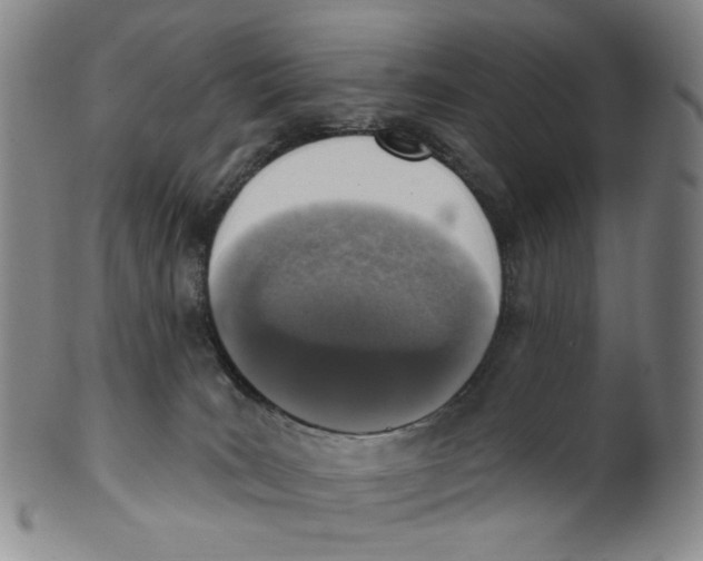 X0000100410035200806271454